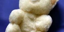 Oso de peluche