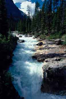 Corriente de agua en las Montañas Rocosas, Canadá
