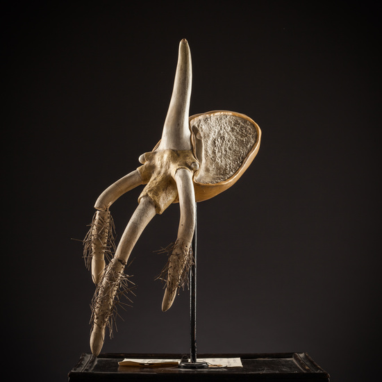 IES_SANISIDRO_BIOLOGIA_204