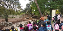 Visita al zoo 2019 16