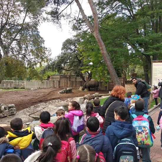 Visita al zoo 2019 16