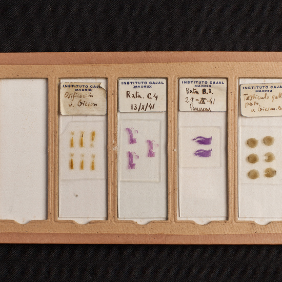 IES_ISABELLACATOLICA_BIOLOGIA_206