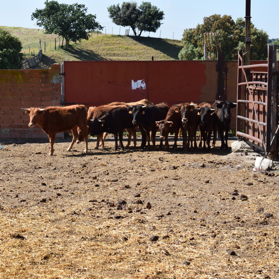 Salida en bici 4º de Primaria 25