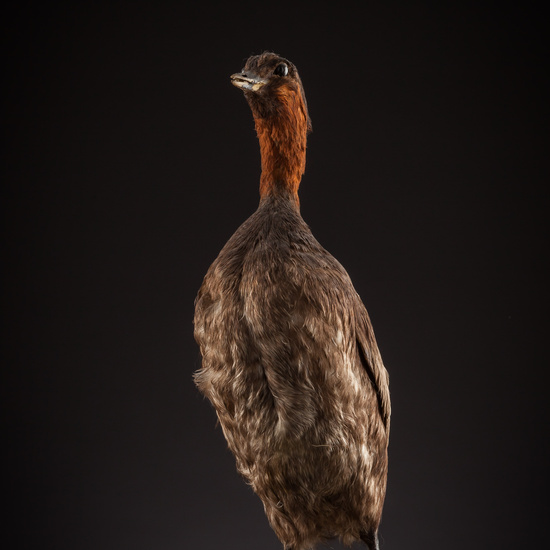 IES_SANISIDRO_BIOLOGIA_390