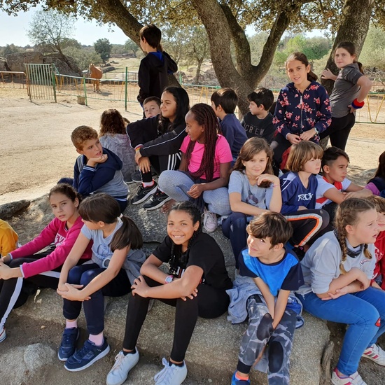 NOCHE MÁGICA 2019 (2ª parte) 8