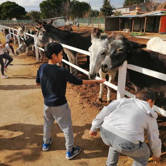 Burrolandia 1 17