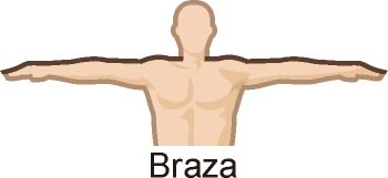Unidades naturales de medida: Braza