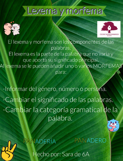 LEXEMA Y MORFEMA