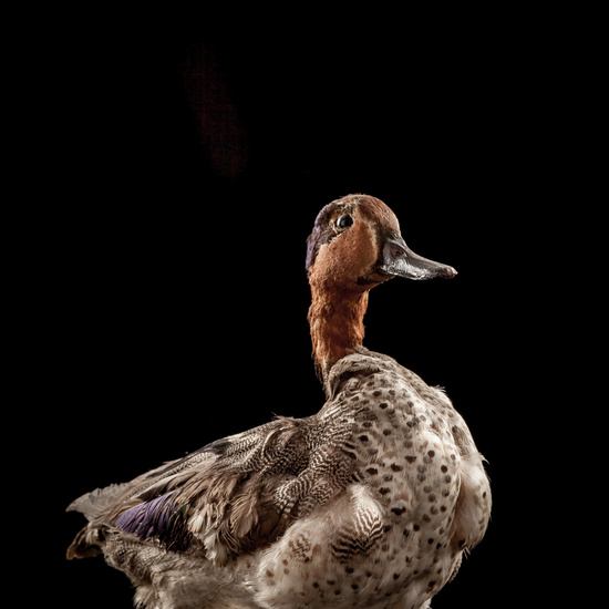 IES_SANISIDRO_BIOLOGIA_026