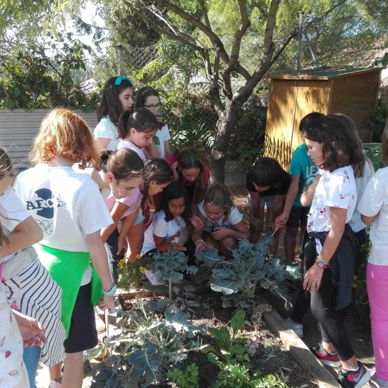 5º A en el huerto_CEIP FDLR_Las Rozas 1