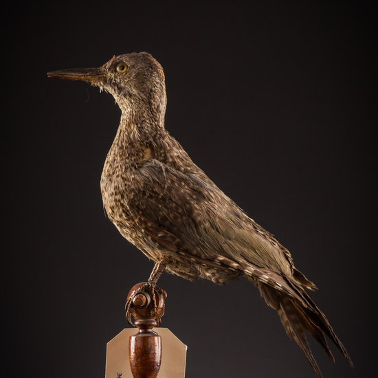 IES_SANISIDRO_BIOLOGIA_412