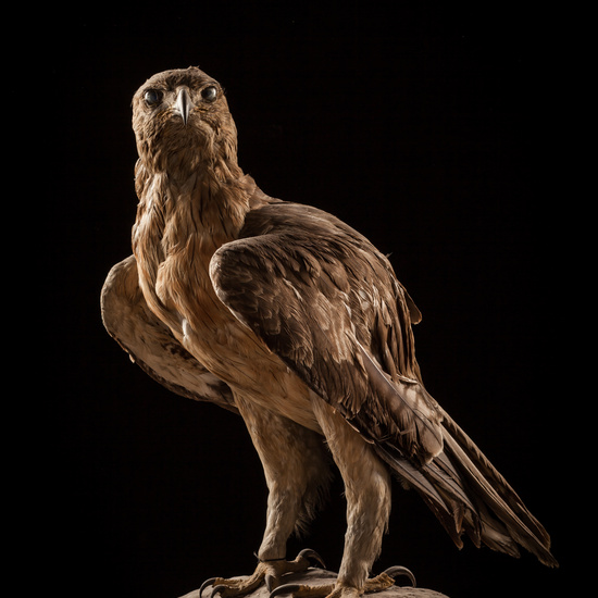 IES_CERVANTES_BIOLOGIA_064