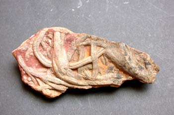 Didymaulichnus roualti (Huella) Cámbrico