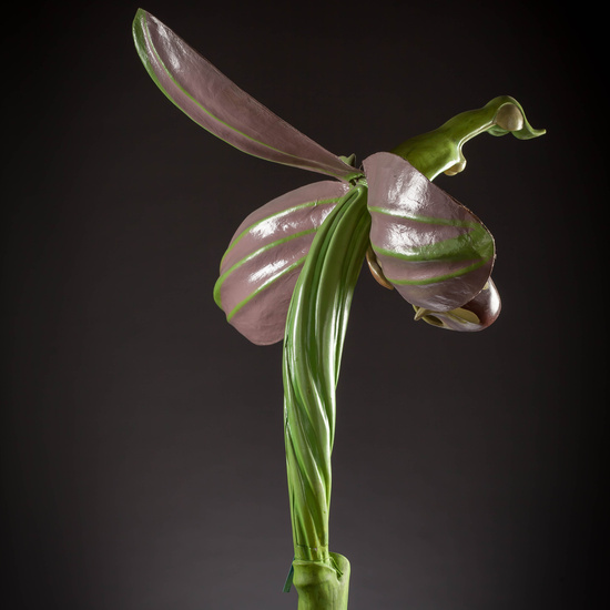 IES_CARDENALCISNEROS_BOTANICA_III_MODELOS_050