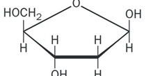 Beta-D-2-Desoxiribofuranosa