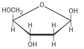 Beta-D-2-Desoxiribofuranosa