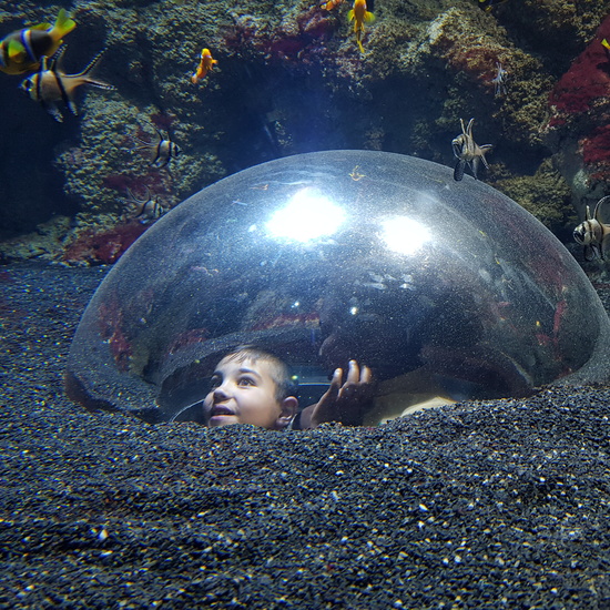Aquarium Xanadú II 3ºB  14