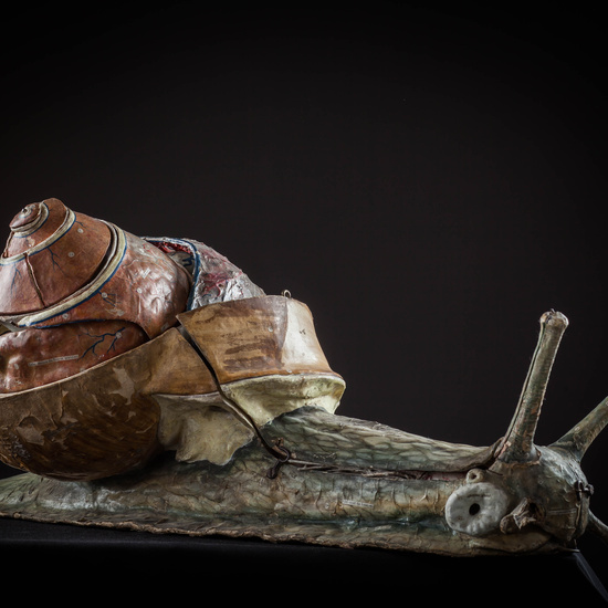 IES_SANISIDRO_MUSEO_Zoolgía_004