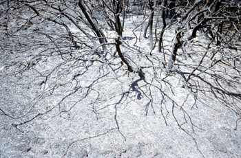 Imagen del embalse de San Juan tras un incendio, Madrid