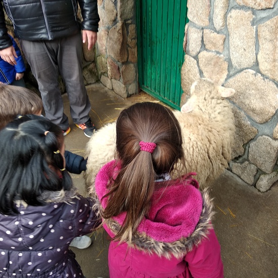 Granja de los Cuentos Infantiles I 8