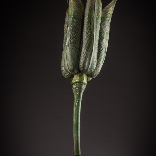 IES_ISABELLACATOLICA_BIOLOGIA_098