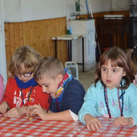 GRANJA ESCUELA ALBITANA 2018 11