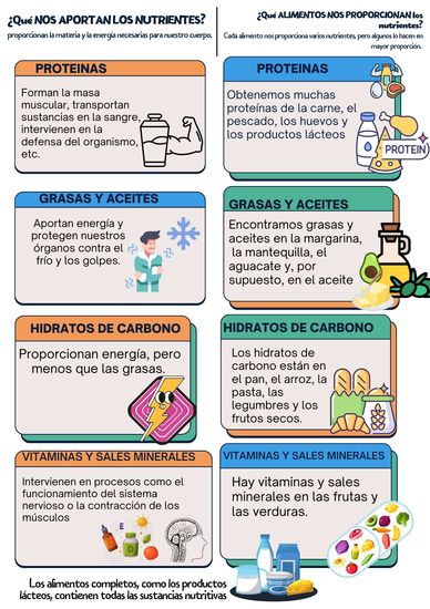 Los alimentos y sus nutrientes