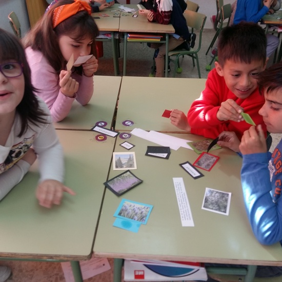 Science experiments. Parfum. 26