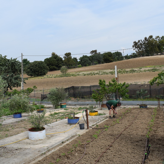Siembra Huerta Balta 5 años 2018 39