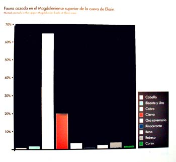 Fauna Cazada en  la Cueva de Ekain