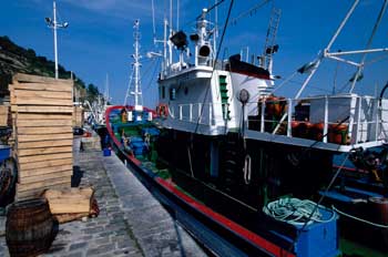Sector pesquero