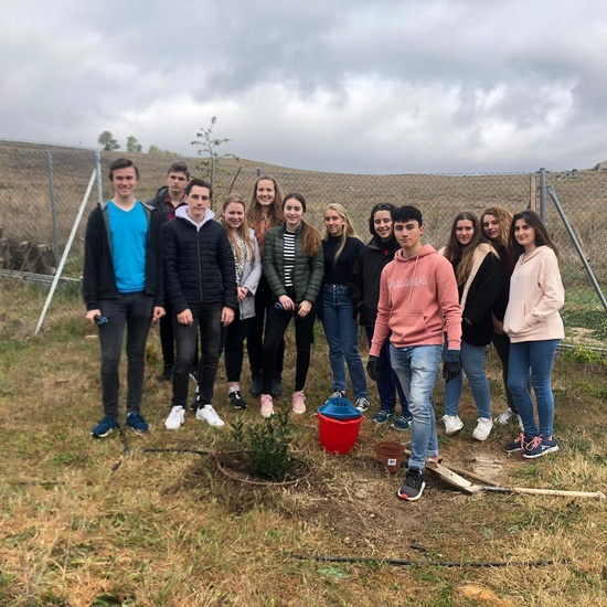 Visita holandeses extra 4