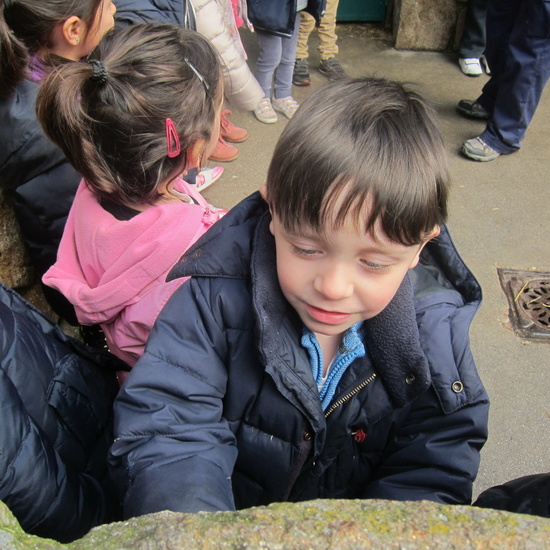 Granja Escuela Educación Infantil Curso 2017-18 36
