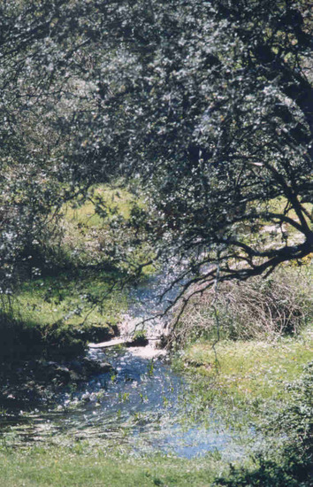 Río en Pedrezuela