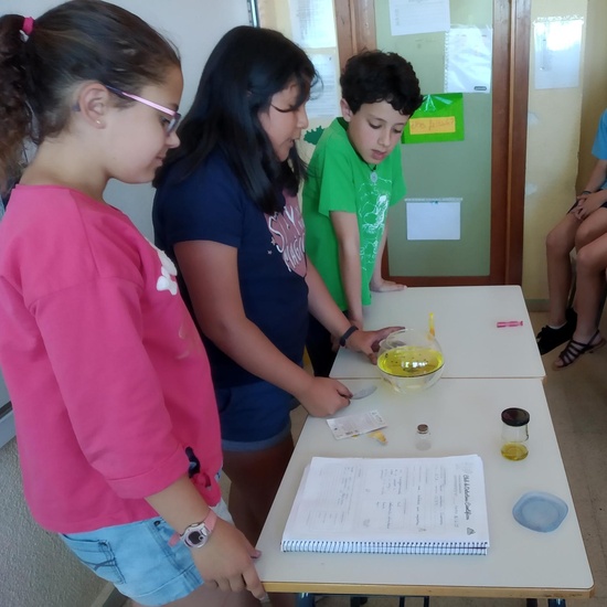 2019_06_La ciencia invade 5º_CEIP FDLR_Las Rozas 2