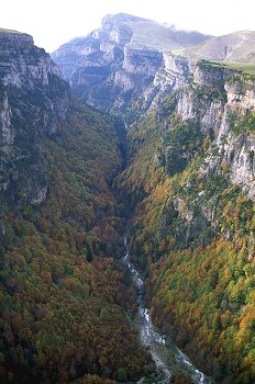 Vista del barranco en otoño. Añisclo