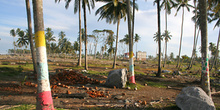 Zócalos de casas y palmeras pintadas, Melaboh, Sumatra, Indonesi