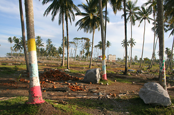 Zócalos de casas y palmeras pintadas, Melaboh, Sumatra, Indonesi