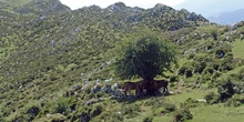 Paisajes de alta montaña