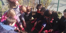 2019_05_El huerto del cole no para...CEIP FDLR_Las Rozas 14