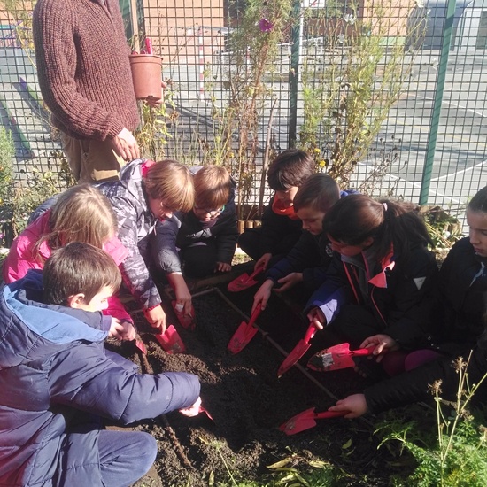 2019_05_El huerto del cole no para...CEIP FDLR_Las Rozas 14