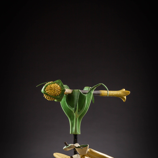 IES_SANISIDRO_MUSEO_Botanica_015