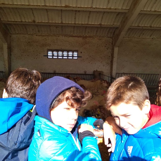 Albergue 6º - 3º día (mañana) 34