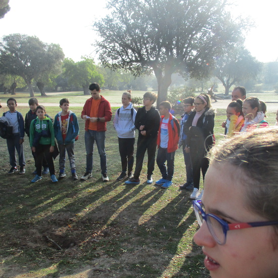 EN MÚLTIPLE 6º - 2019 18