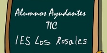 Ayudantes TIC