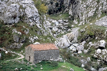 Casa en montaña. Picos de Europa