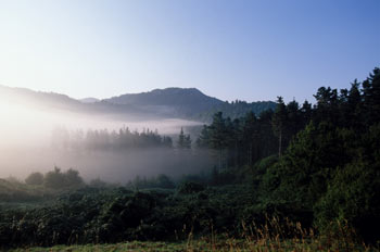 Reserva de la biosfera de Urdabai, Vizcaya
