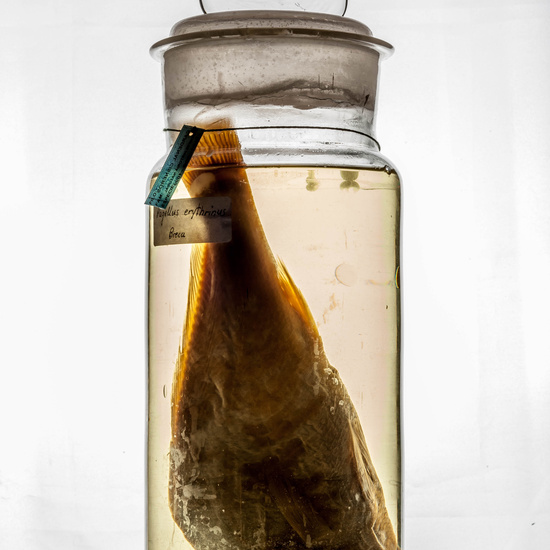 IES_CARDENALCISNEROS_CIENCIASNATURALES_381