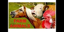 PRIMARIA - 2º - FARM ANIMALS - FORMACIÓN