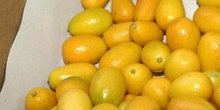 Limones